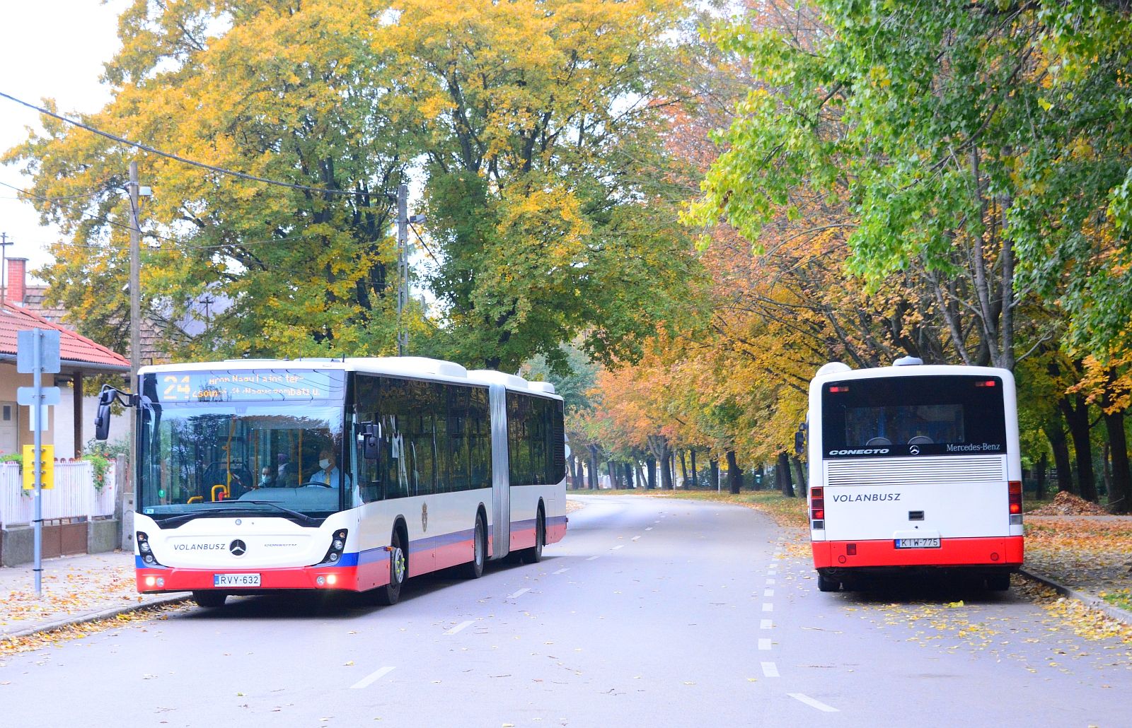 Fecskeparti lakossági fórum lesz szerdán a buszközlekedésről